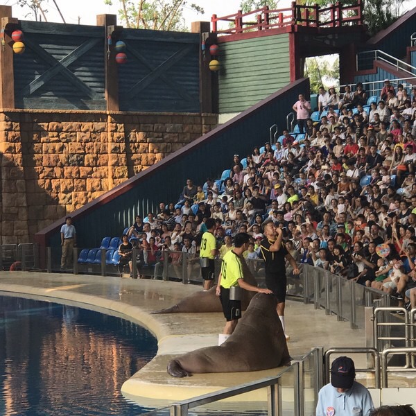 珠海长隆海洋王国宣传片,珠海长隆海洋王国