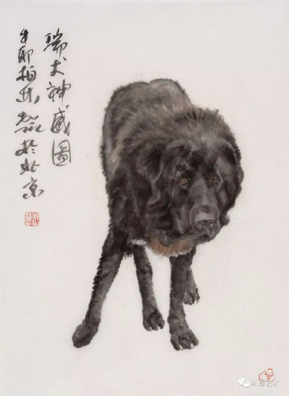 瑞犬迎春视频完整版,瑞犬迎春