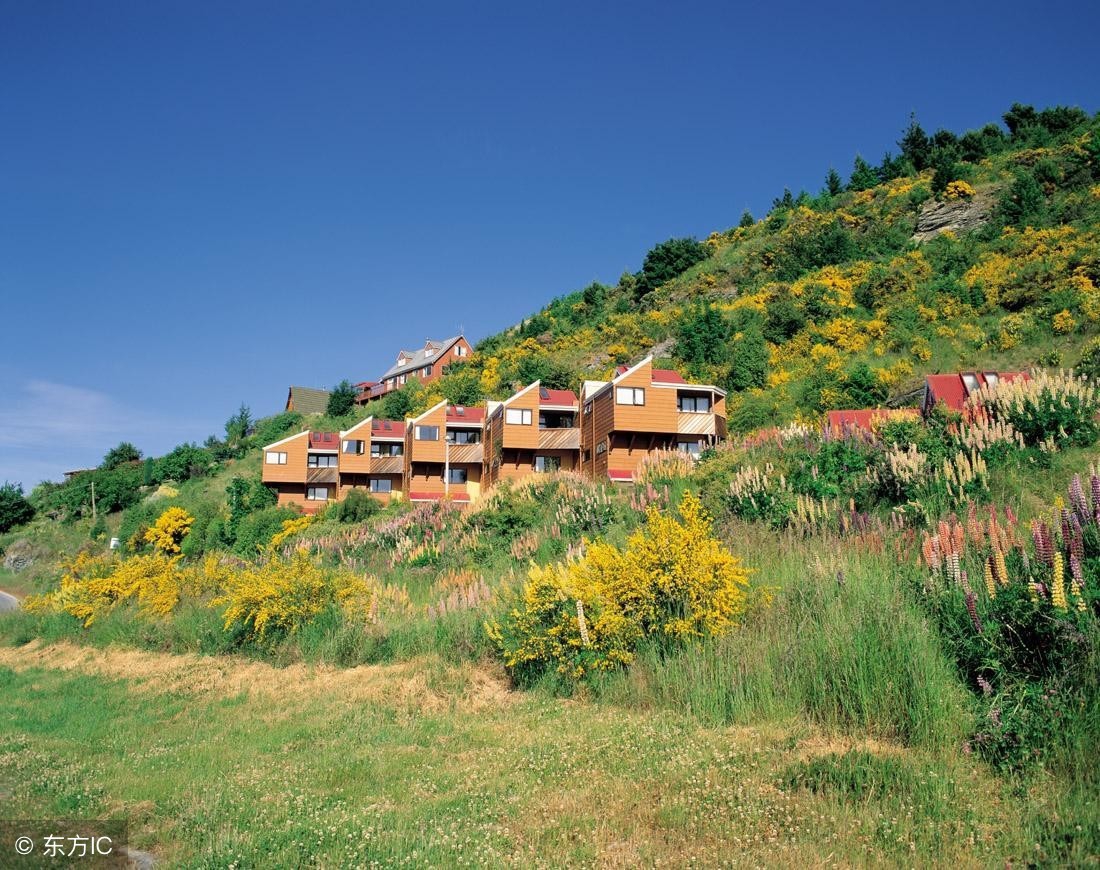 新西兰指环王拍摄地图片,指环王取景地带动新西兰旅游发展