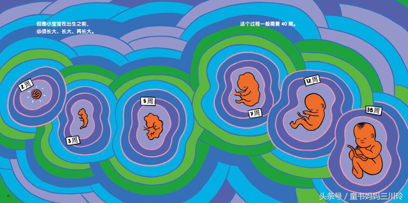 妈妈，什么是啪啪啪？我是从哪儿来的？如何回答这些尴尬问题