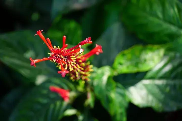 e-mount索尼,emount镜头焦段