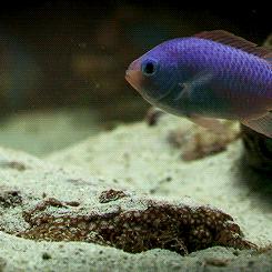 操劳过度好好休息,操劳过度和劳累过度有什么区别