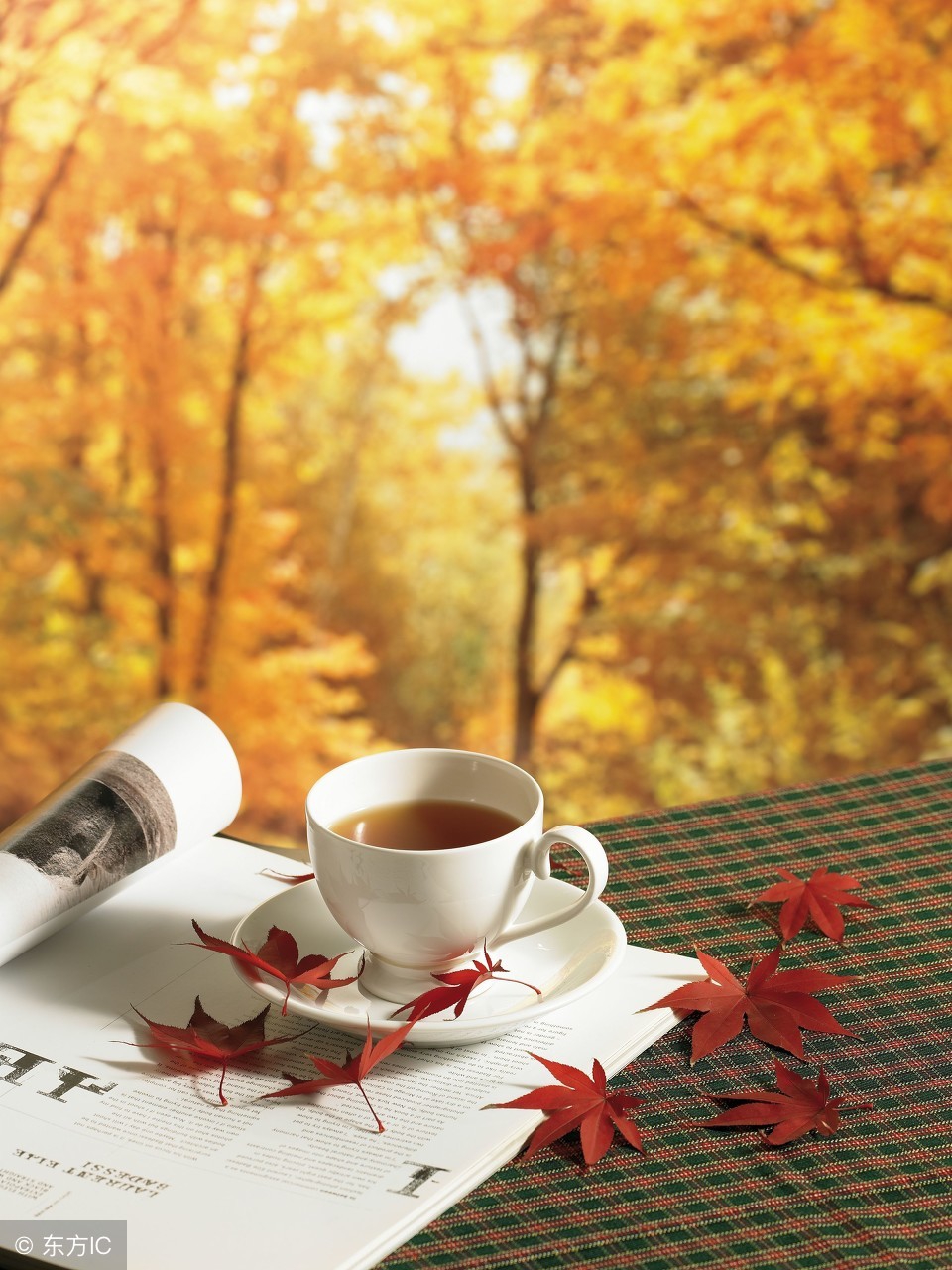 茶文化十大内涵是什么呢,茶文化指的什么茶