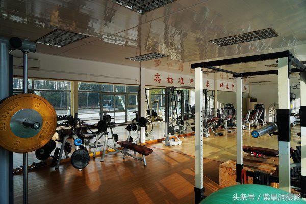 武磊助西班牙人收入猛增,武磊最新身价达2000万欧