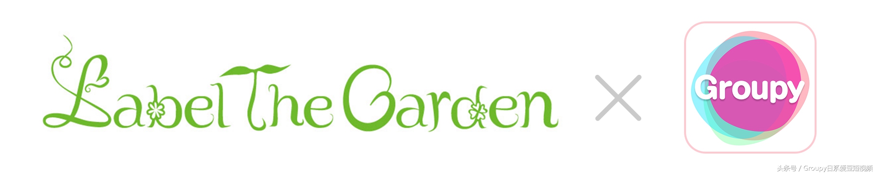 【速报】日本哥伦比亚唱片集团旗下多语言偶像组合入驻GroupyAPP