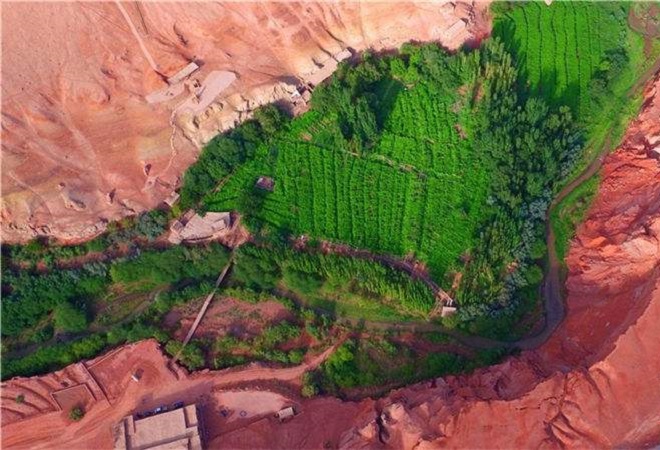 吐鲁番葡萄甜的原因,为什么新疆的葡萄最好