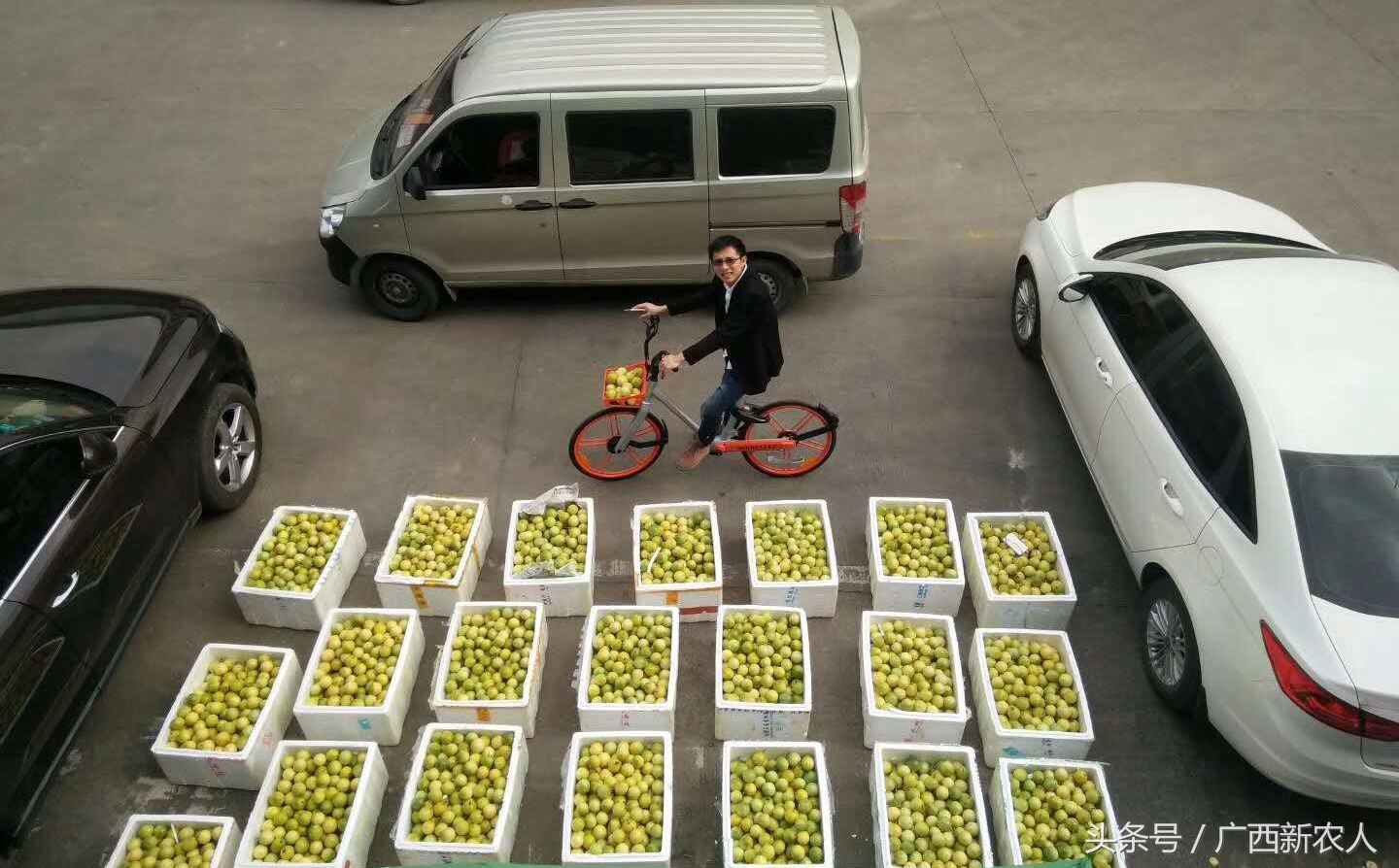 看95后，如何玩转百香果品牌设计