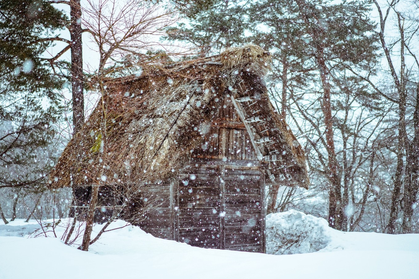 handycam,handycam亲子游