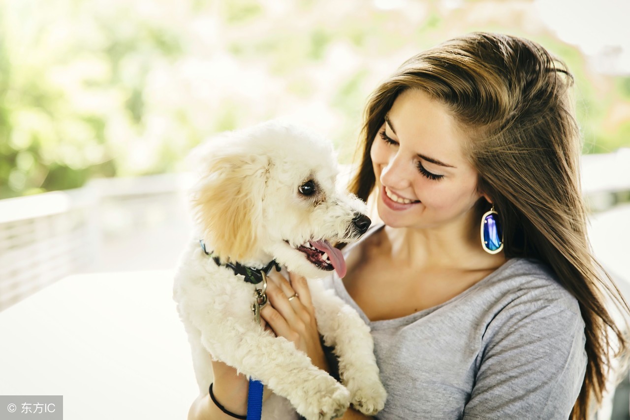 家庭养宠物犬的注意事项,家里养宠物注意知识大全视频