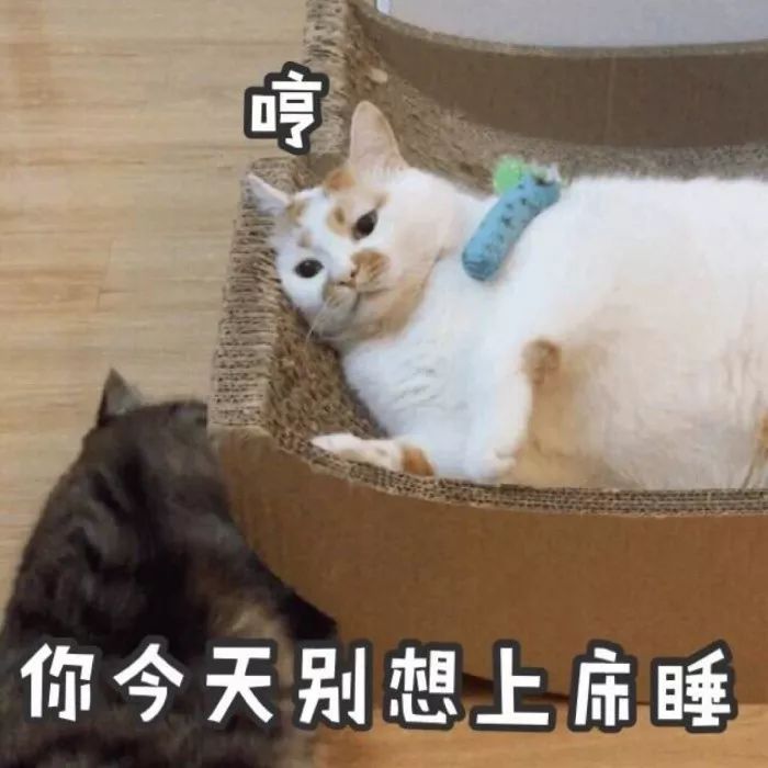 手贱翻了下男生的淘宝搜索记录,看完整个人都不好了!