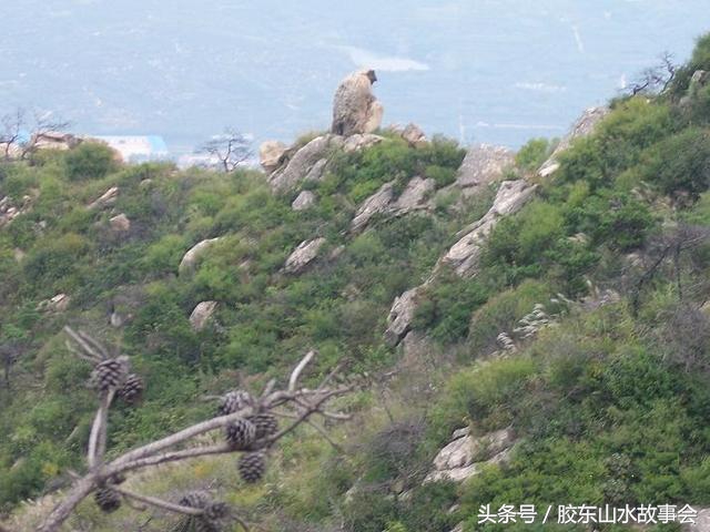 连云港花果山水帘洞长什么样,连云港花果山里面有水帘洞不