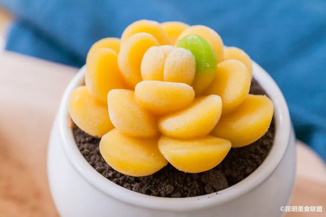 猎奇！昆明街边甜品店，居然每天200美少女拥挤这里生吃多肉