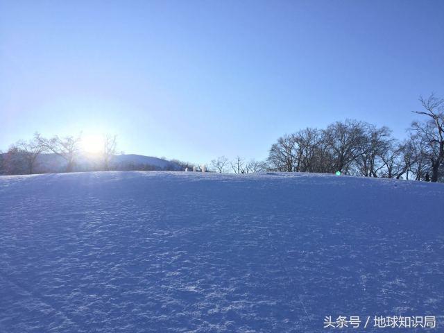 小白鲸的东北之旅｜地球知识局