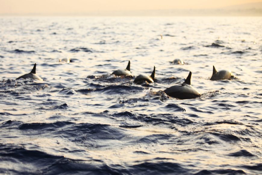 夏天适合情侣去的小众海岛,最适合情侣去的小众海岛