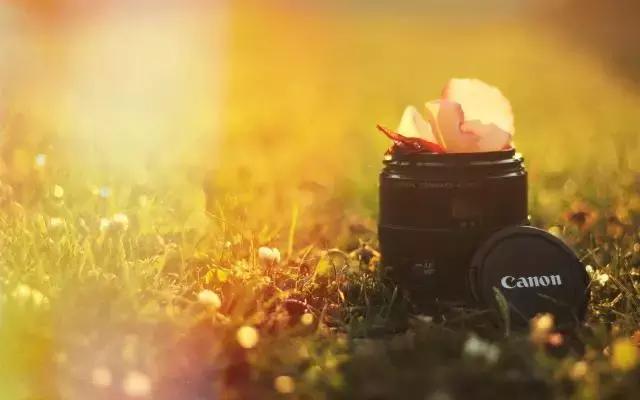 单反相机拍照最佳设置,单反相机拍花如何设置