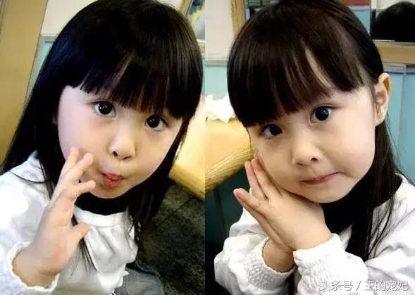 苟姓氏里的最美情诗,藏在绝美古诗词里的姓氏