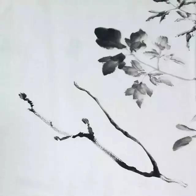 果果小写意牡丹画法教学视频,王绣写意牡丹画法零基础视频