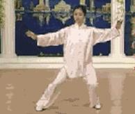 太极二十四式入门基本动作,太极入门学24式吗