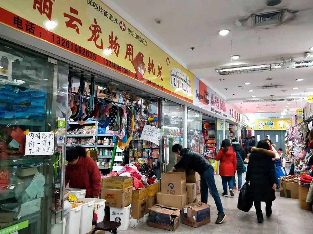 北京：大爷大妈和老狗狗们的幸福生活