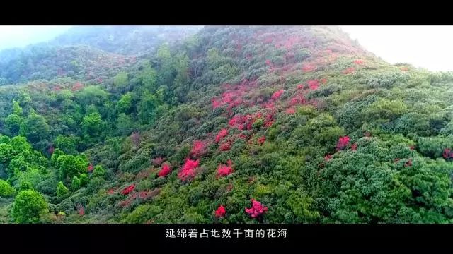 云南芳华取景点,云南蒙自市芳华拍摄地