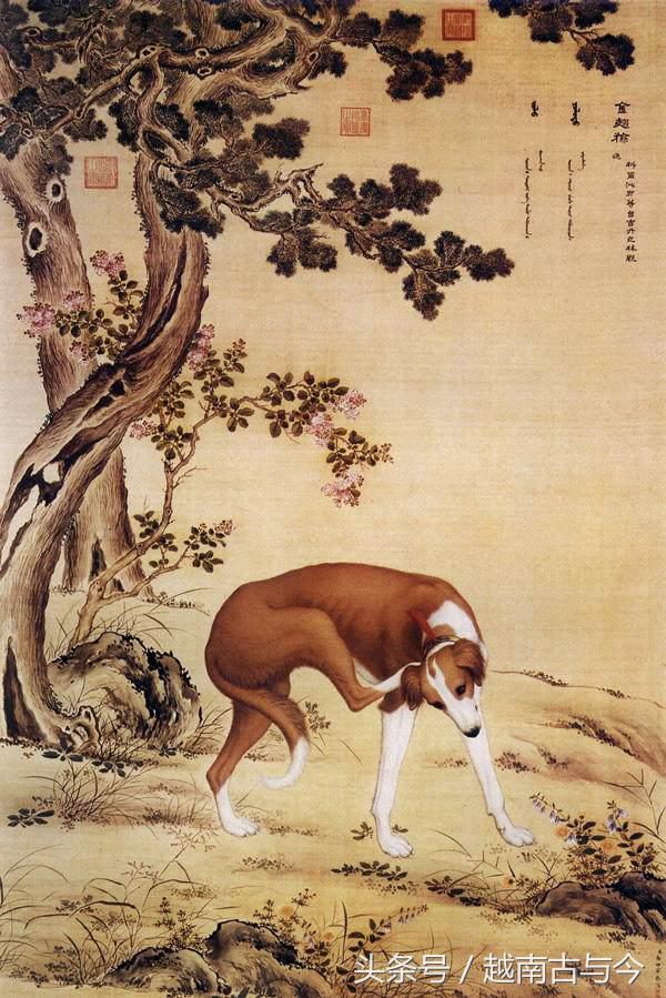 狗年说狗民间关于狗的传说,狗年说狗闲谈中国狗文化