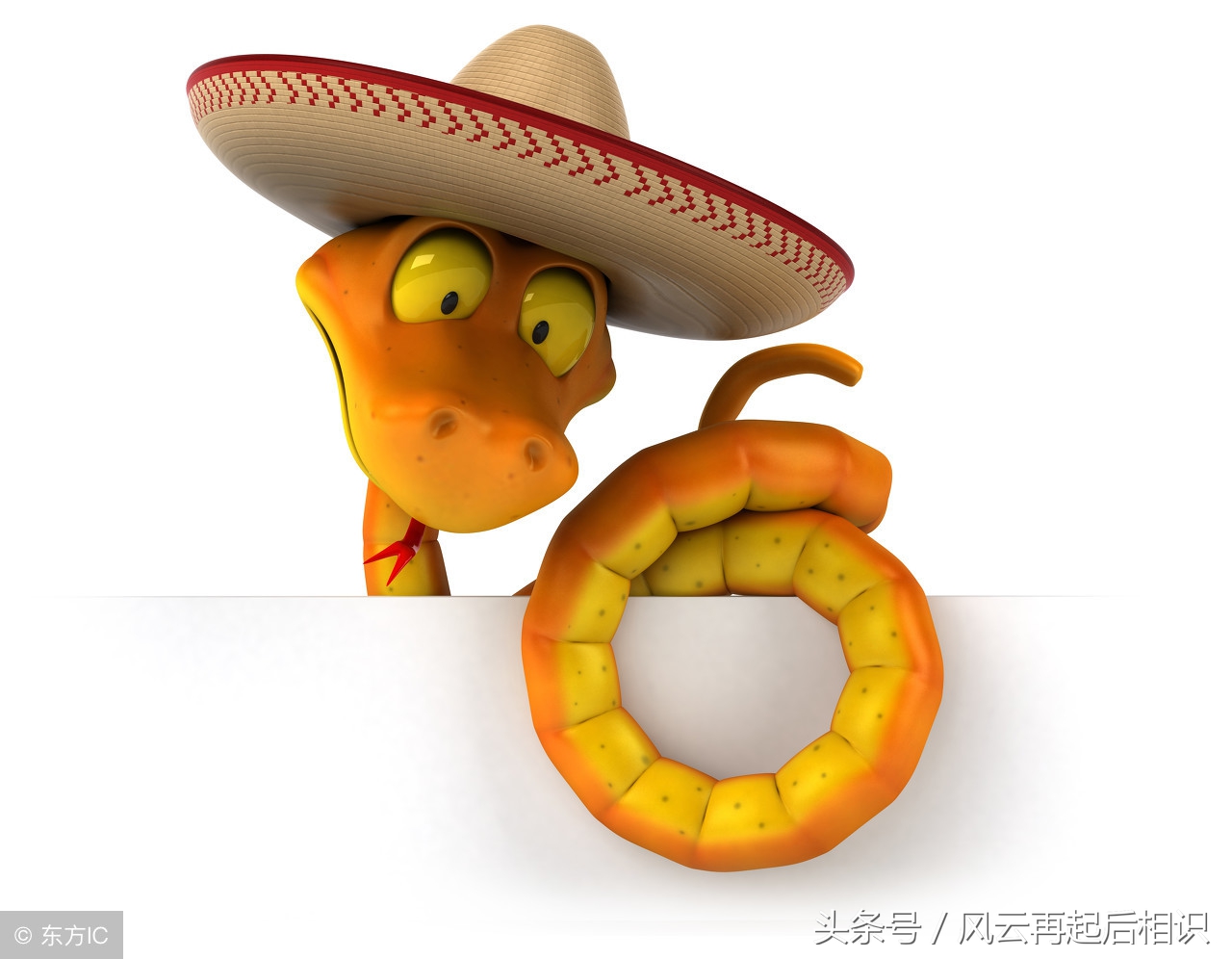 77年的蛇2022年运势如何转运,生肖蛇2018年运势颜色