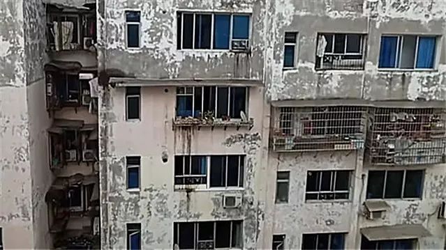 猫咪贪玩被困高楼窗檐上，主人用这招机智拯救它