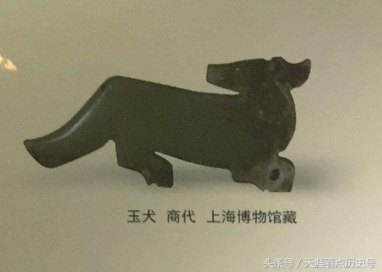 狗年说狗漫谈中国古代的狗,狗年说狗的传说