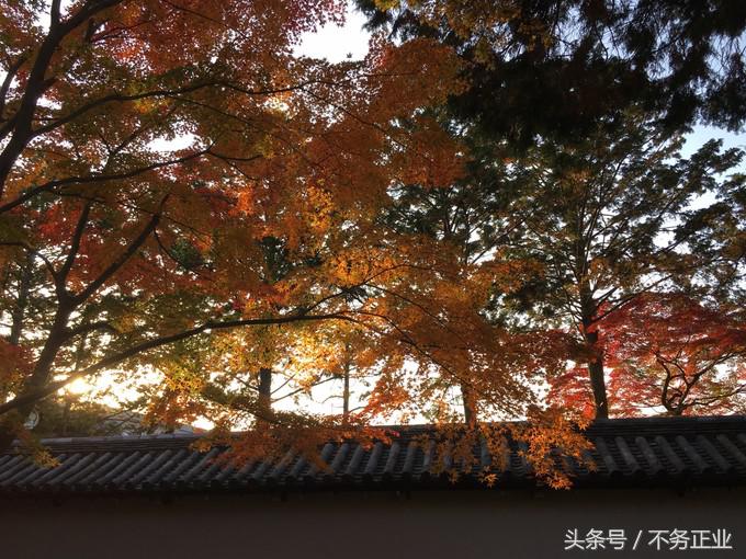 旅行|CoordinateBook06-No.535.0116°N,135.7680°E京都