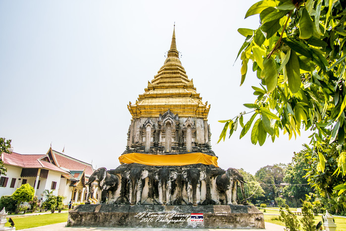 清迈佛寺之城等你采撷的泰北玫瑰,清迈环球旅行家