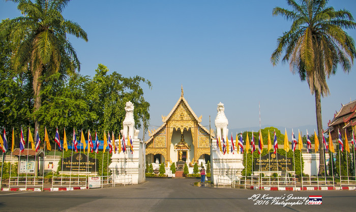 清迈佛寺之城等你采撷的泰北玫瑰,清迈环球旅行家