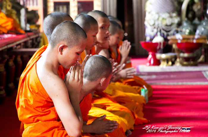 清迈佛寺之城等你采撷的泰北玫瑰,清迈环球旅行家