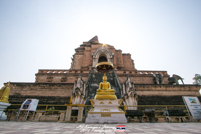 清迈佛寺之城等你采撷的泰北玫瑰,清迈环球旅行家