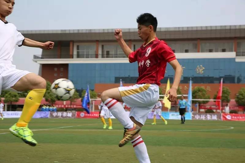 信阳市第7届市长杯足球赛小学组,信阳市第7届足球赛