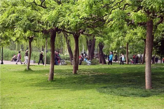 人定湖公园风格,人定湖欧式公园