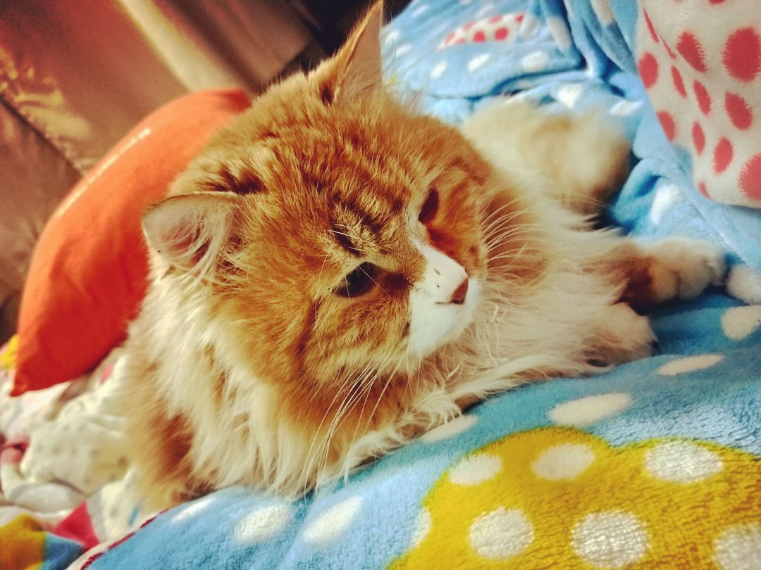 百态年度总结｜这是我最后的波纹疾走！-回顾一年采访对象，顺便祝大家新春快乐