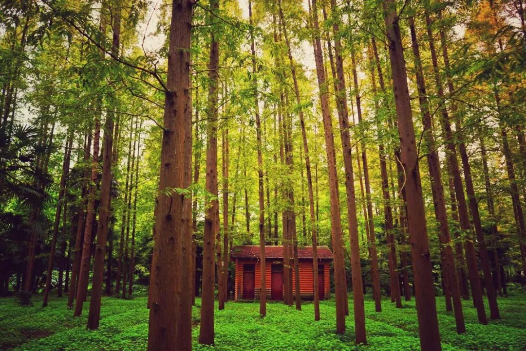 土著带你逛古村,土著带你逛北京