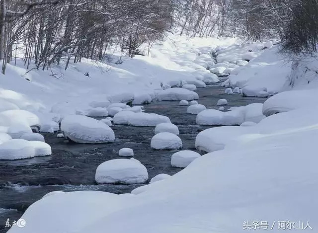雪藏原版是谁,大兴安岭传奇