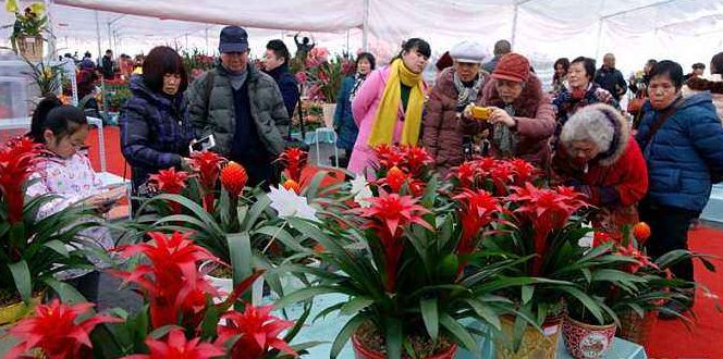 年初四周边旅游景点推荐自驾游,春节后错峰旅游最佳去处亲子