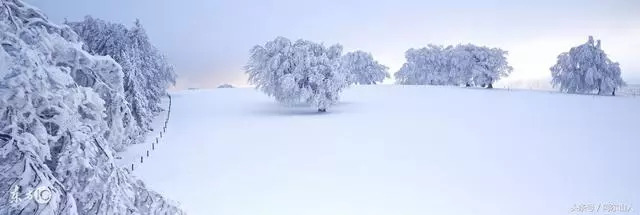 雪藏原版是谁,雪藏哪年出的歌