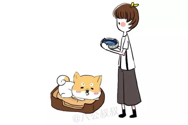 小狗狗得了肠胃炎吃什么食物,狗狗得了肠胃炎期间吃什么饭