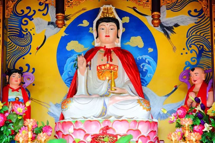 印象养生禅洗,印象养生会所门票