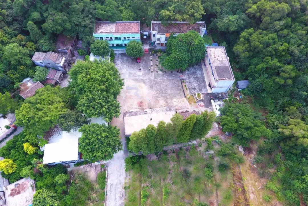 还未脱单？元宵前去东湾村吧，邂逅浪漫！