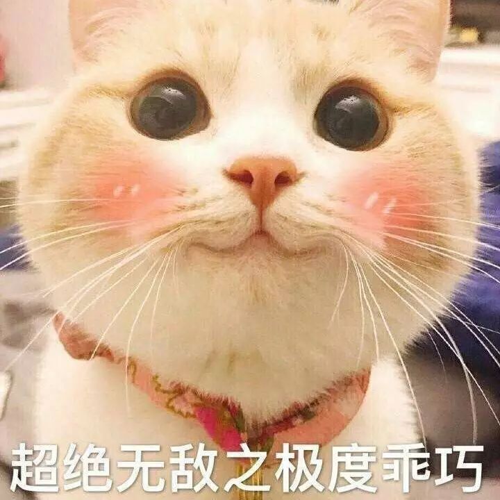 700元左右一支的口红,7块钱以内的口红