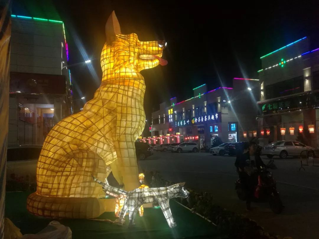 鍗楀畞甯傝彔钀濆箔鍏冨鑺辩伅,2020骞村崡瀹佽彔钀濆箔鑺辩伅