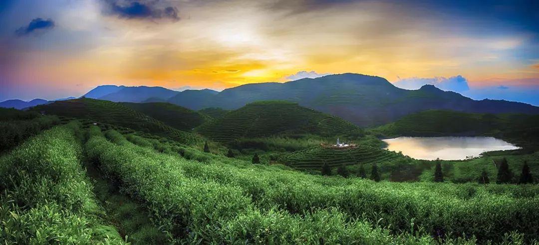 湖南株洲市炎陵县,湖南省株洲市炎陵县介绍