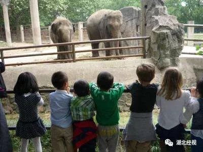 过敏宝宝必看知识,过敏儿童注意什么