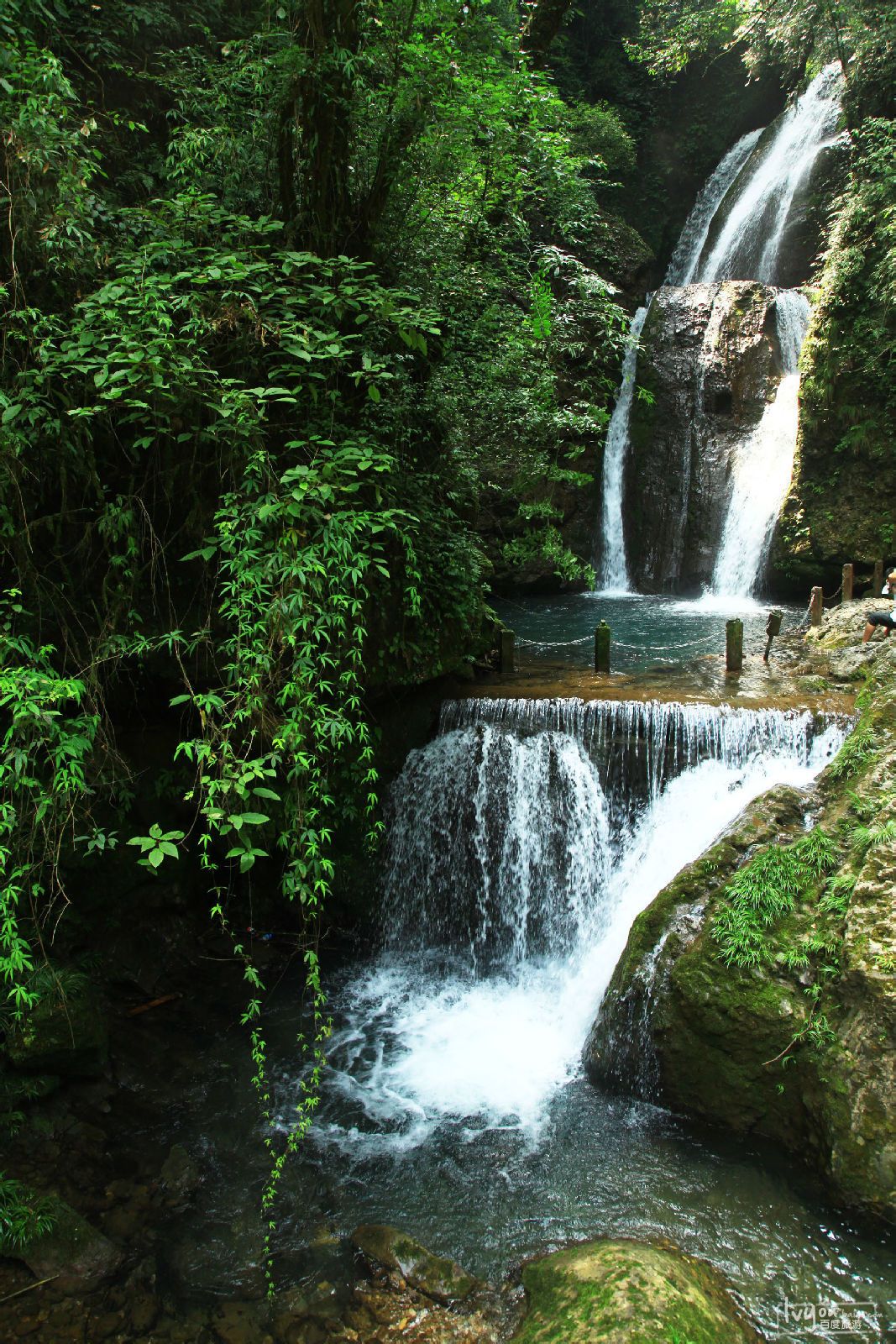 春节怎么去成都便宜,春节期间去成都怎么玩