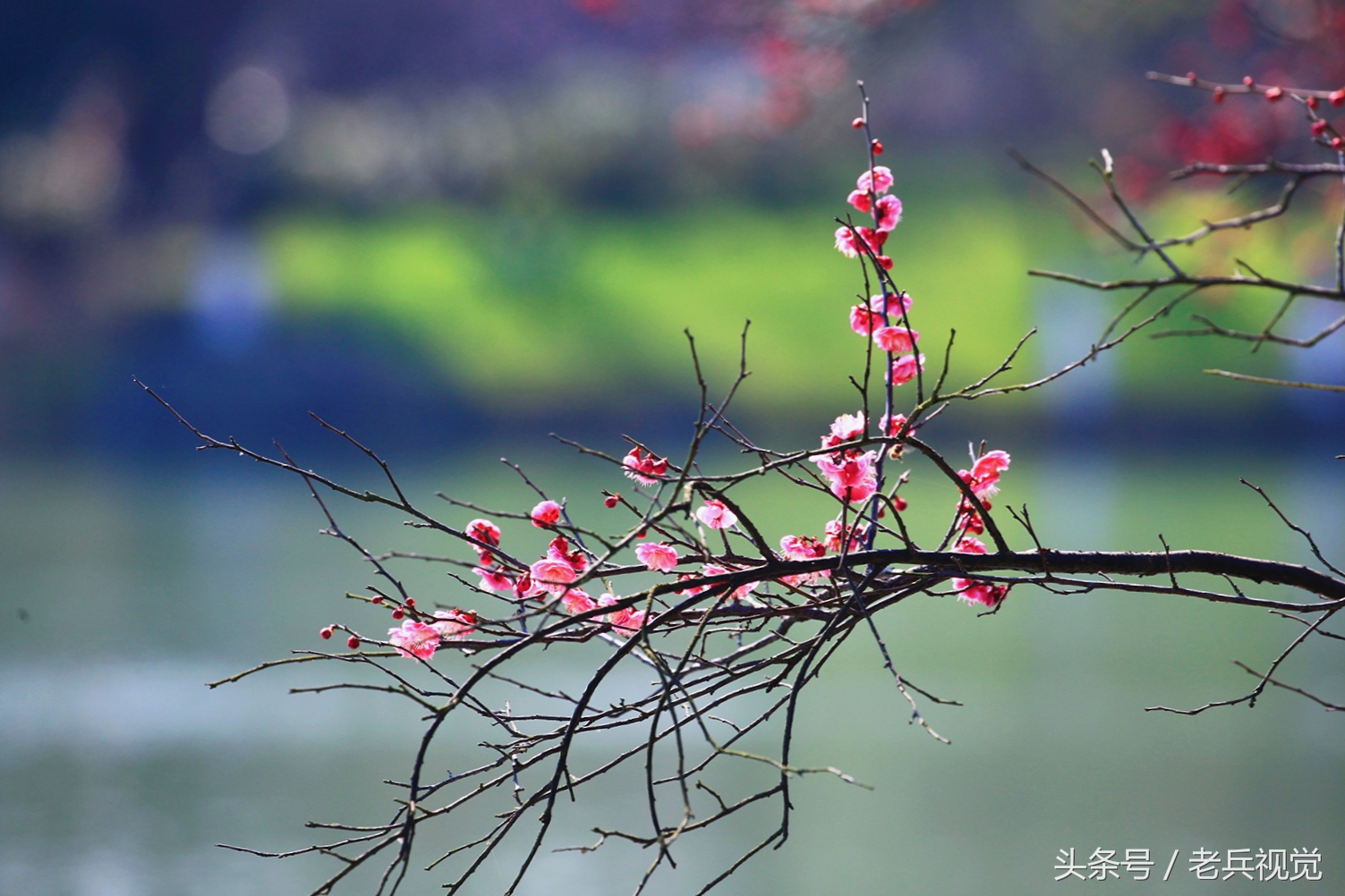 从大连到杭州上海苏州,大连到杭州旅行