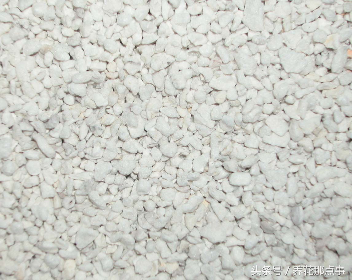 盆栽板结的土壤怎样改良,盆栽土种什么防止板结